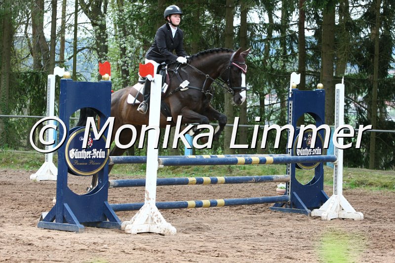 204M9139_Ikarus_Stil Ax.JPG